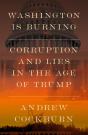 Washington Is Burning - Preview