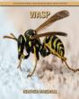 Wasp - Preview