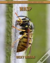 Wasp