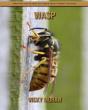 Wasp - Preview