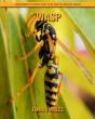 Wasp - Preview