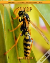 Wasp