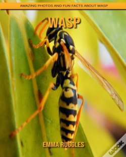 Capa do artigo Wasp