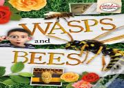 Wasps And Bees