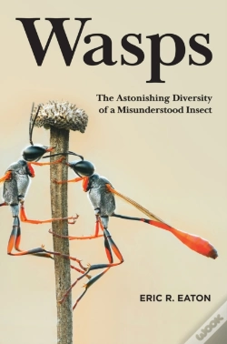 Capa do artigo Wasps