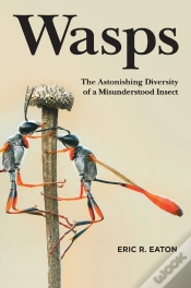 Capa do artigo Wasps