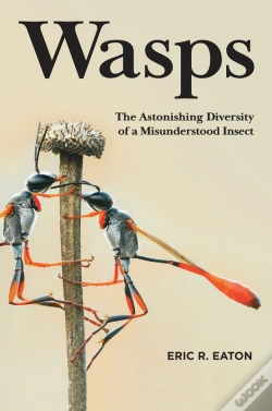 Capa do artigo Wasps