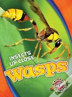 Wasps