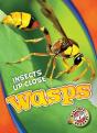 Wasps - Preview