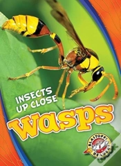 Capa do artigo Wasps