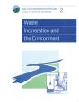 Waste Incineration And The Environment - Preview
