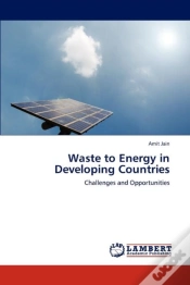 Capa do artigo Waste To Energy In Developing Countries