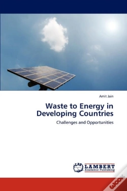 Capa do artigo Waste To Energy In Developing Countries