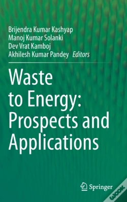 Capa do artigo Waste To Energy: Prospects And Applications