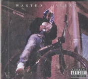 Capa do artigo Wasted Talent - CD