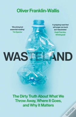 Capa do artigo Wasteland