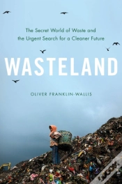 Capa do artigo Wasteland