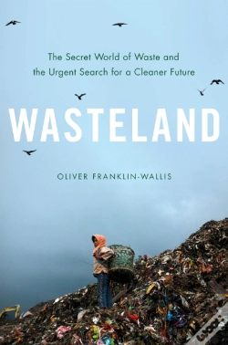 Capa do artigo Wasteland