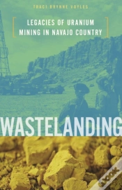 Capa do artigo Wastelanding