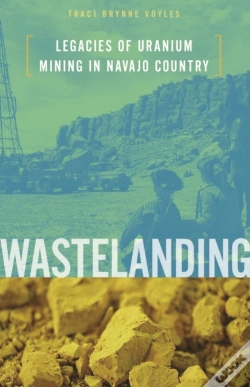 Capa do artigo Wastelanding
