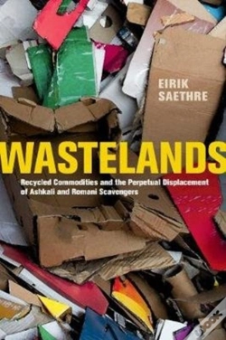 Capa do artigo Wastelands
