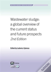 Capa do artigo Wastewater Sludge