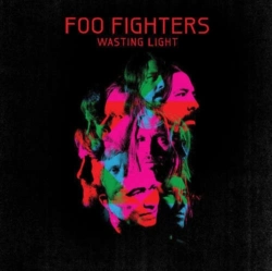 Capa do artigo Wasting Light - Vinil