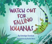 Capa do artigo Watch Out For Falling Iguanas