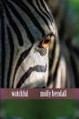 Watchful - Preview