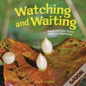 Capa do artigo Watching And Waiting