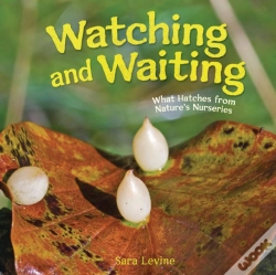 Capa do artigo Watching And Waiting