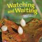 Watching And Waiting - Preview