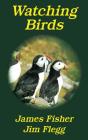 Watching Birds - Preview