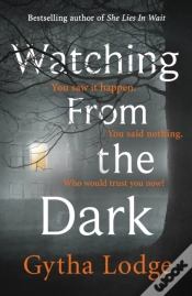 Capa do artigo Watching From The Dark