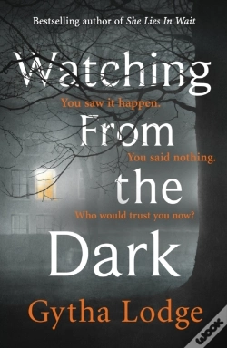 Capa do artigo Watching From The Dark
