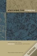 Watching The Perseids