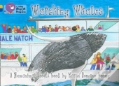 Watching Whales