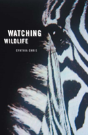 Watching Wildlife - Preview