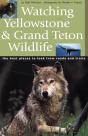 Watching Yellowstone & Grand Teton Wildlife - Preview