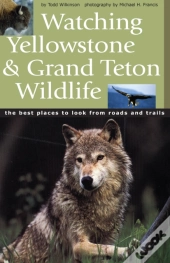 Watching Yellowstone & Grand Teton Wildlife