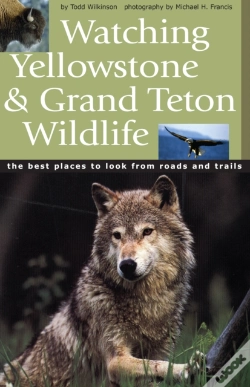 Capa do artigo Watching Yellowstone & Grand Teton Wildlife