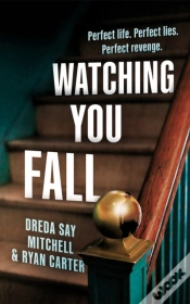 Capa do artigo Watching You Fall