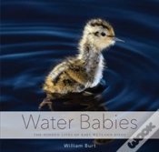 Capa do artigo Water Babies