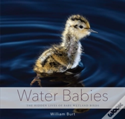 Capa do artigo Water Babies