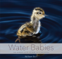 Water Babies - Preview