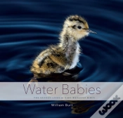 Capa do artigo Water Babies