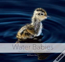 Capa do artigo Water Babies