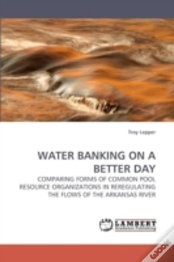 Capa do artigo Water Banking On A Better Day