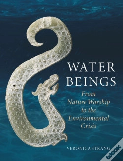 Capa do artigo Water Beings