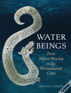 Capa do artigo Water Beings